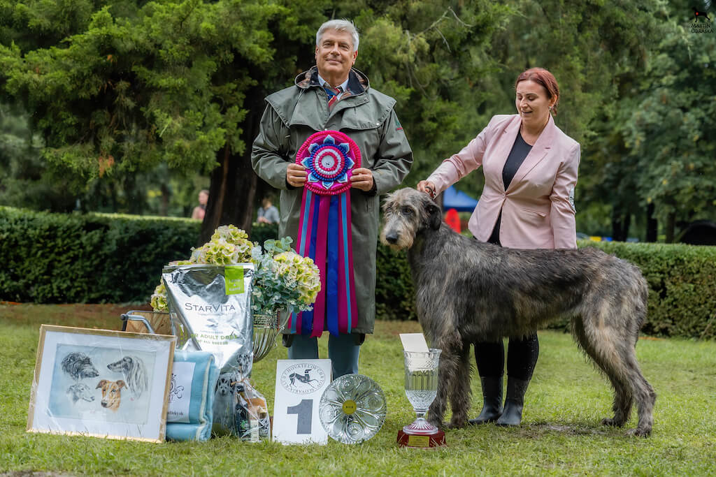 SUPREME BEST IN SHOW