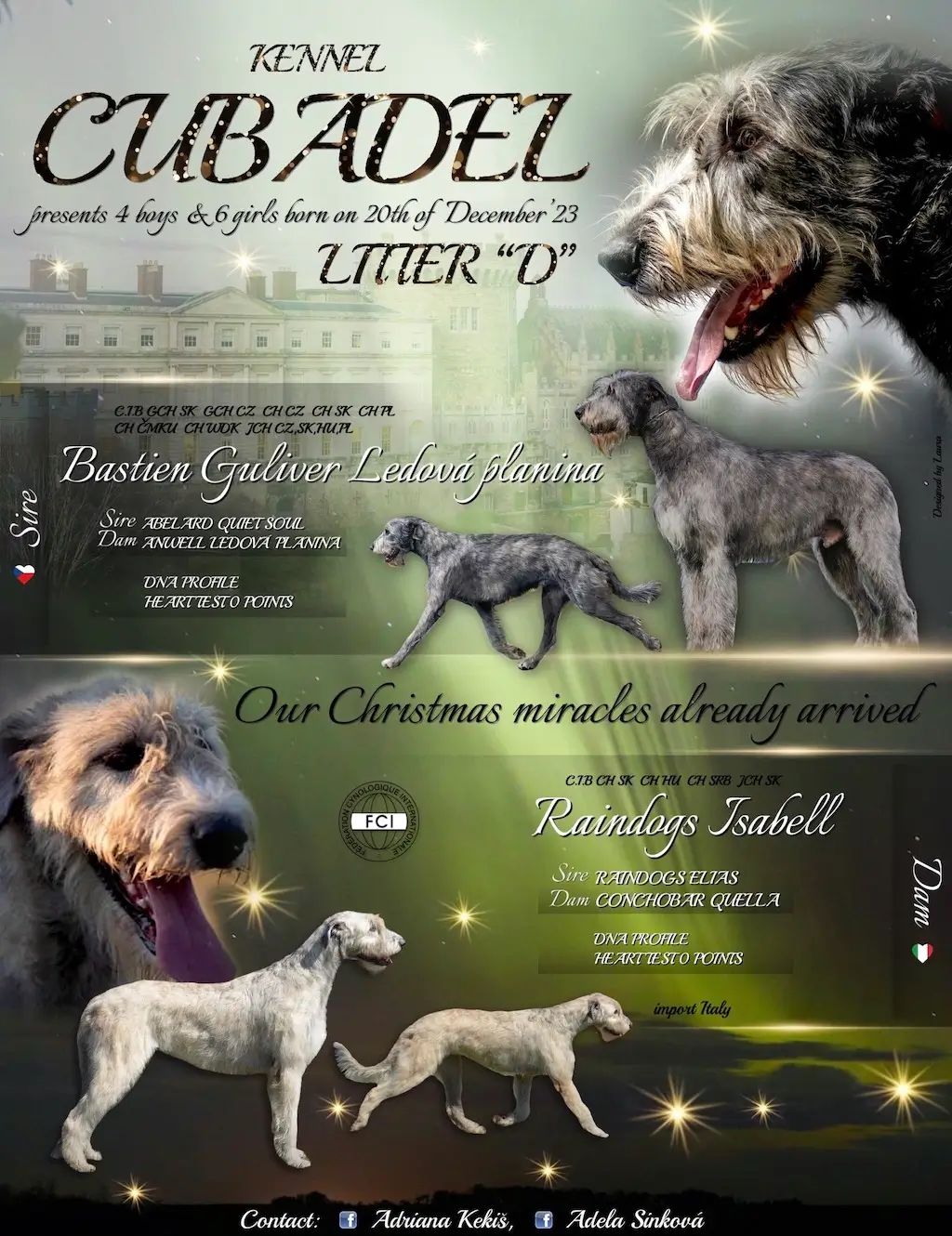 Cubadel Irish Wolfhound